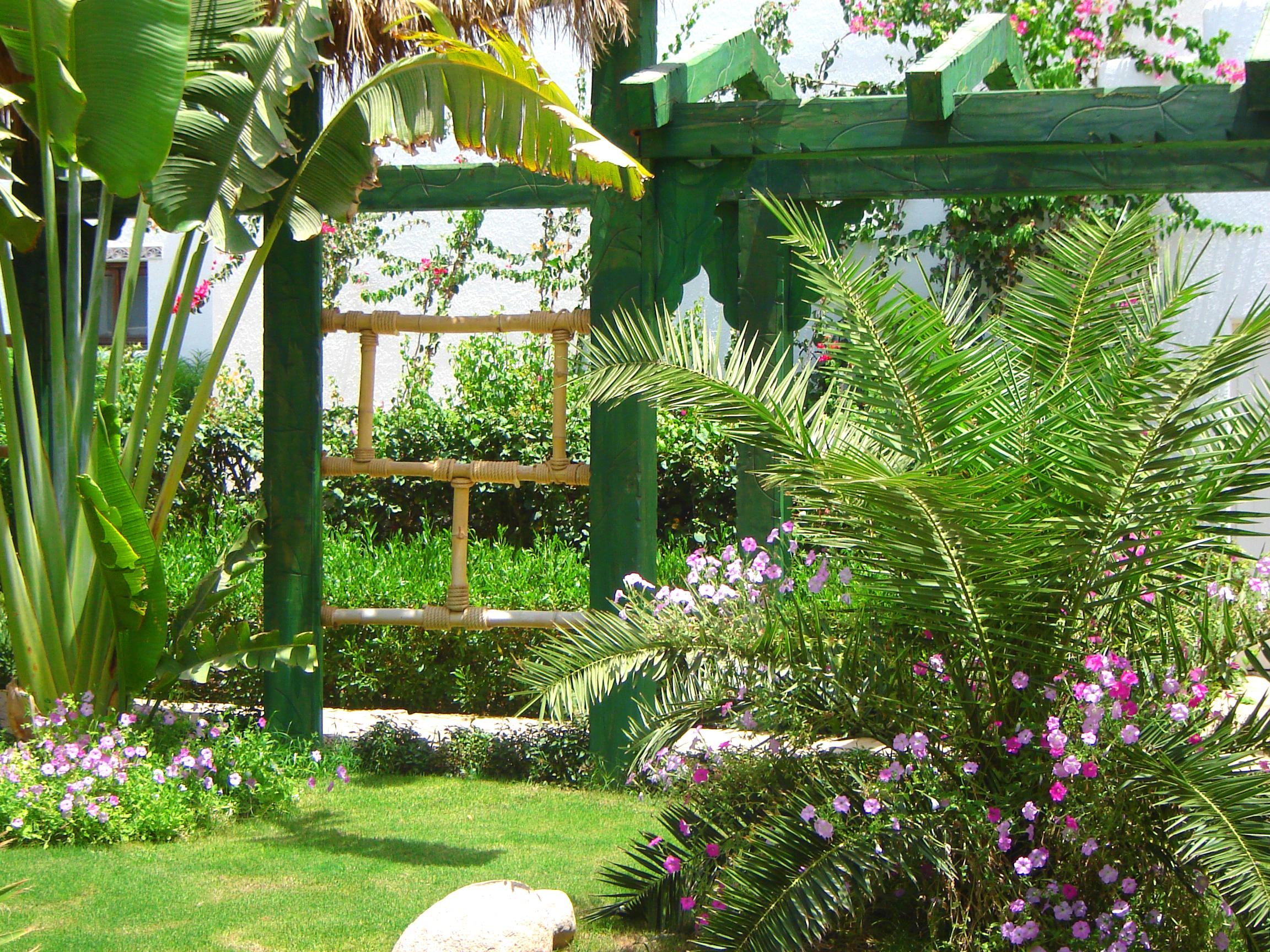 Delta Sharm Resort ,Official Web, Delta Rent, Sharm El Sheikh, South Sinai, Egypt Zewnętrze zdjęcie